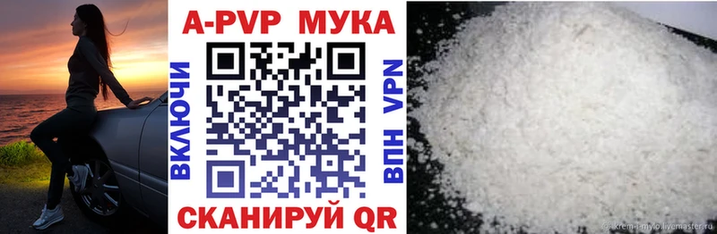 закладка  Высоцк  Alfa_PVP СК 