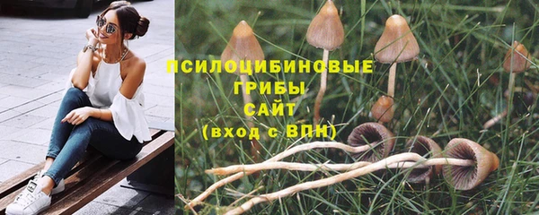 прущий лед Бронницы